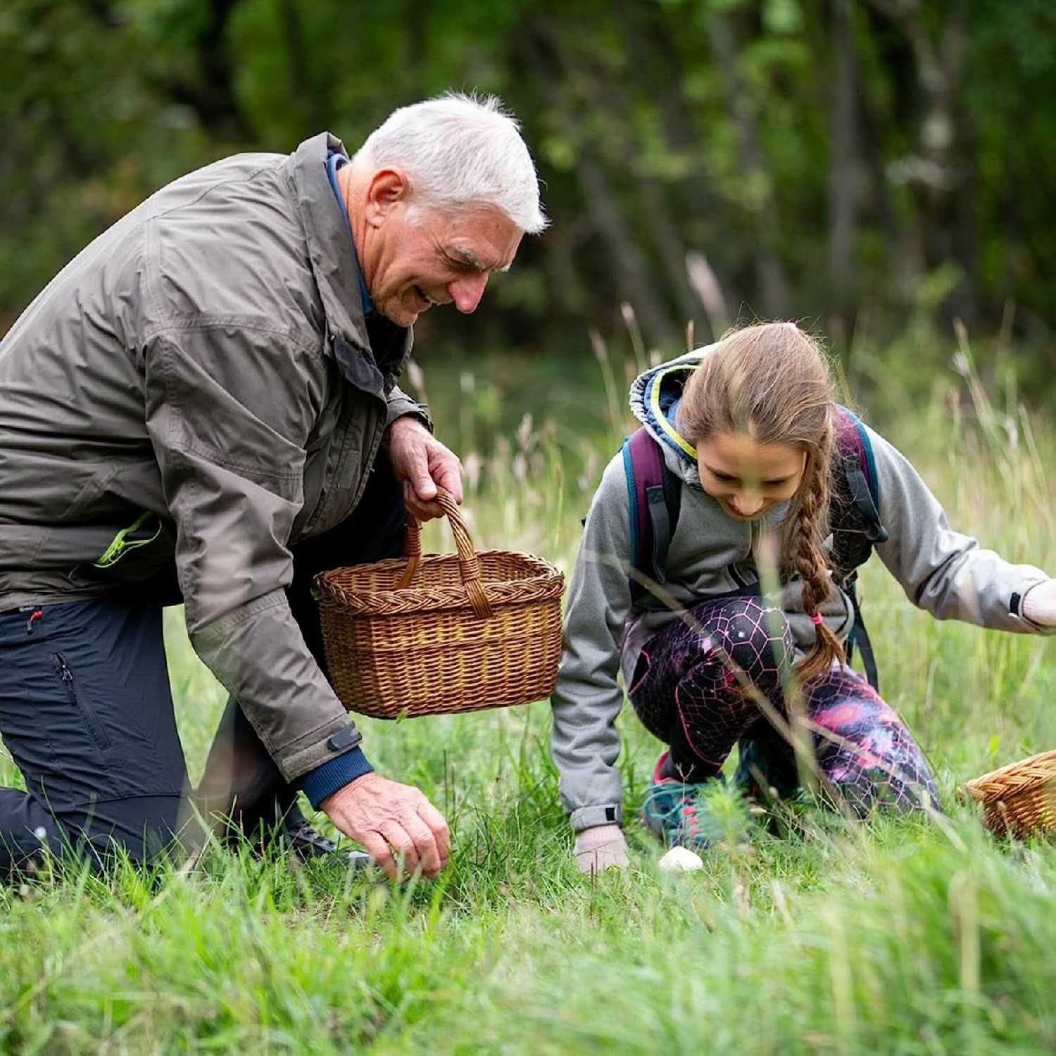 Нож Retki Нож грибника (210 мм) фотография 8