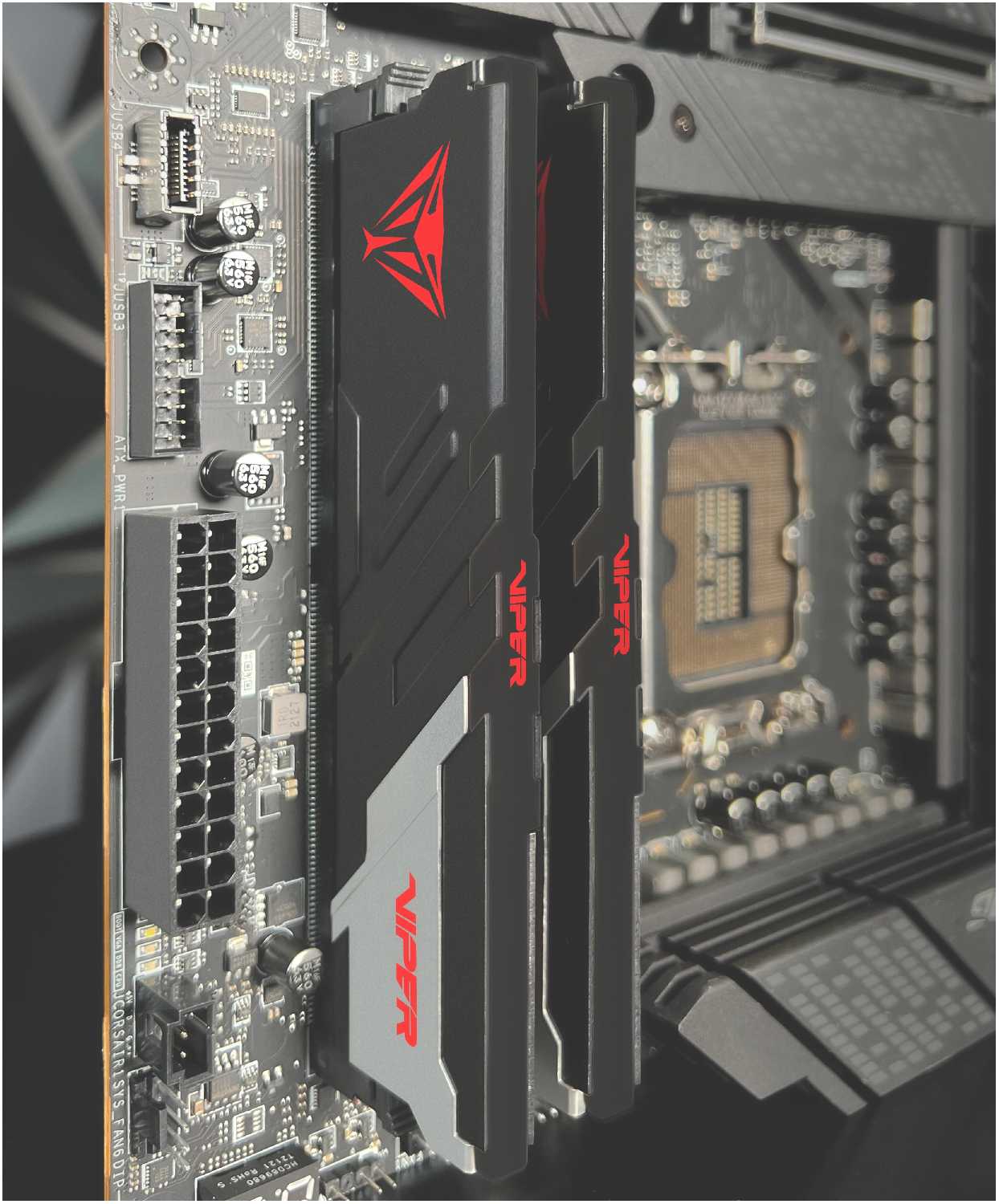 Оперативная память Patriot Memory VIPER Venom 32 ГБ (PVV532G620C40K) фотография 8