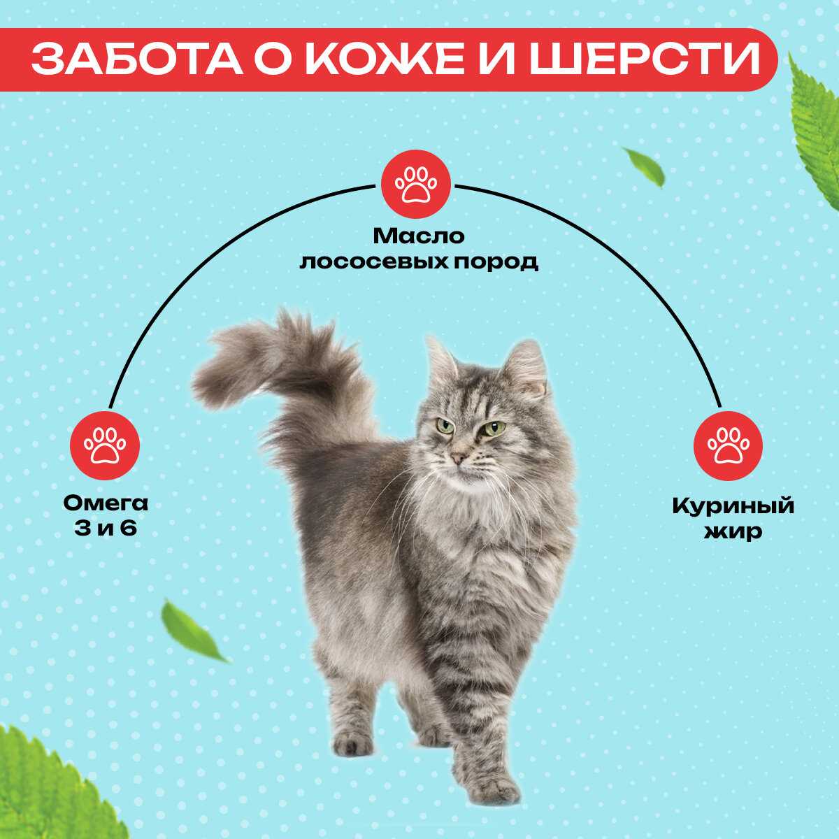 Сухой корм для кошек Сухой корм с ягненком и грушей фотография 2