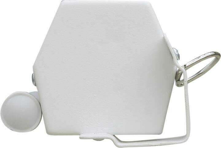 Рулонный cactus Wallscreen (CS-PSW-168x299) фотография 12