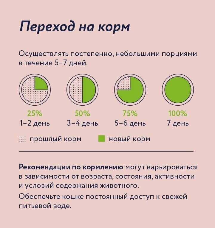 Сухой корм для кошек Сухой корм с ягненком и грушей фотография 12