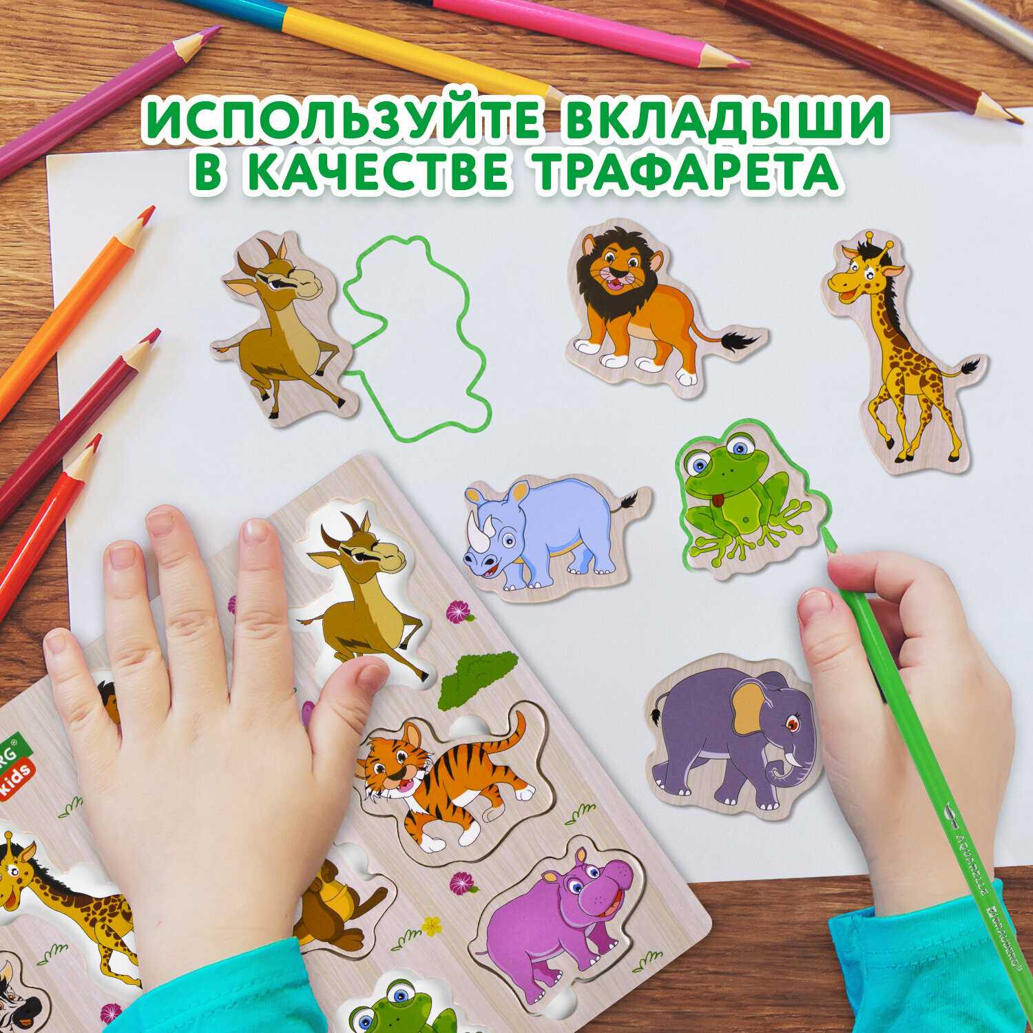 Рамка вкладыш деревянная Brauberg Kids Рамка-вкладыш Овощи (665255) фотография 6
