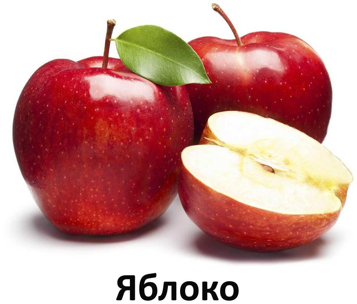 Корм для кошек Alleva Equilibrium Sensitive с кроликом фотография 6