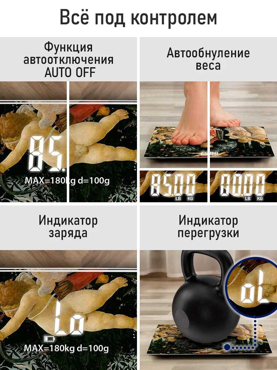 Весы STINGRAY Свершение (ST-SC5001A) фотография 10