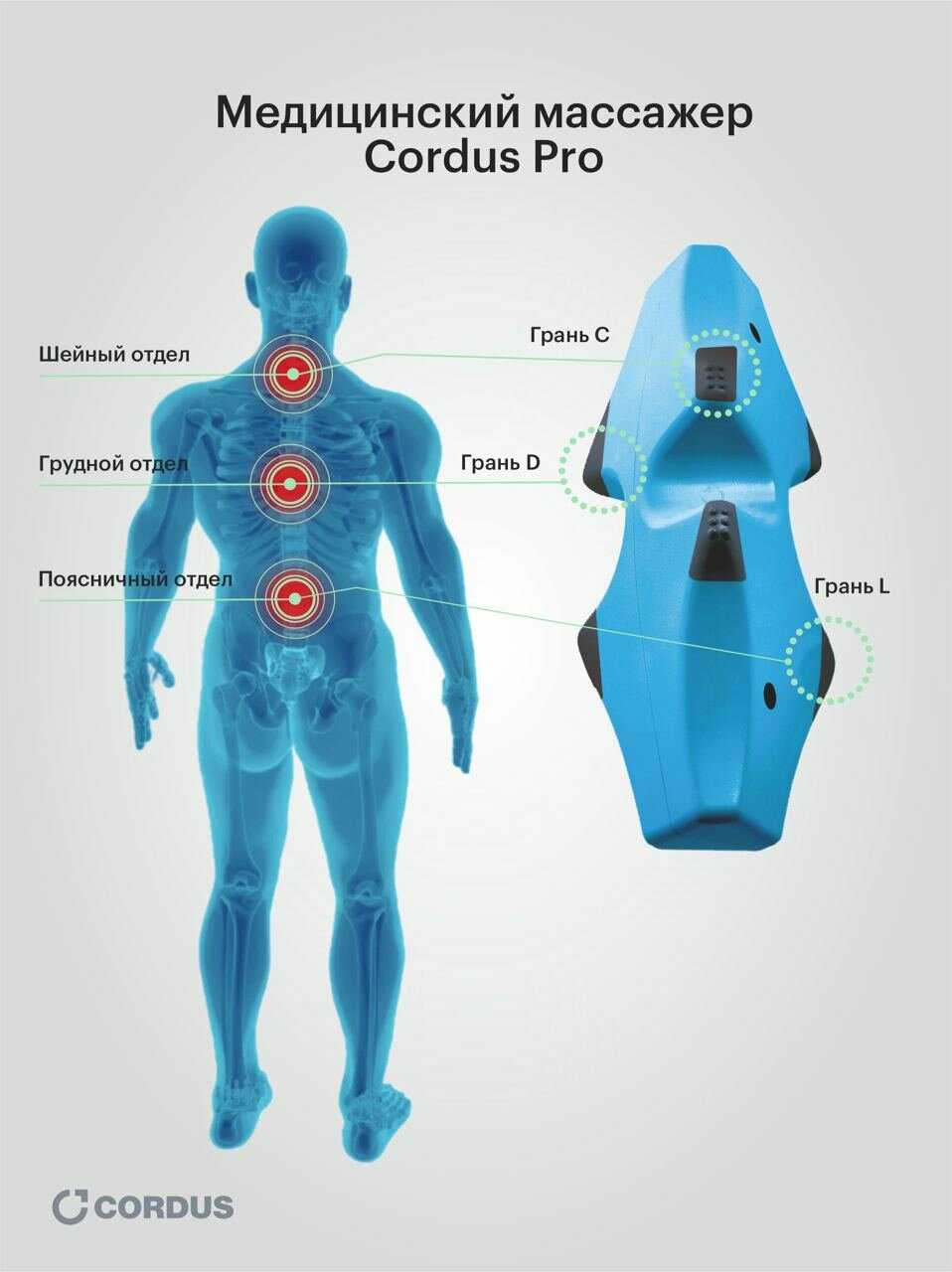 Cordus Plus комплект массажеров для спины шеи и поясницы фотография 8