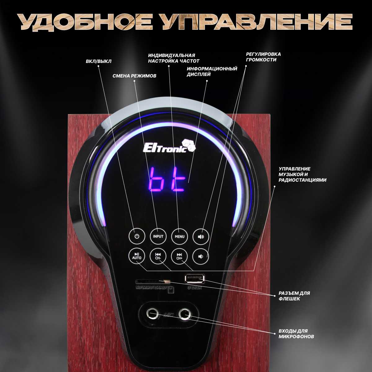 Колонка Home Sound (FM-радио, дисплей, караоке) фотография 11