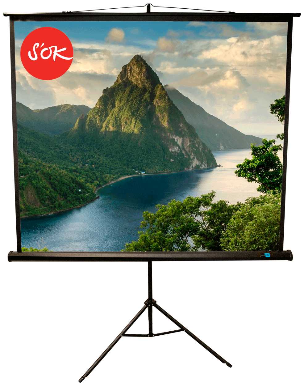 Экран для проектора S'OK SCPST-180x180BLCK (100