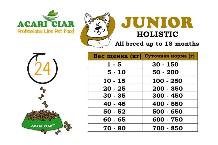 Сухой корм для собак ACARI HOLISTIC JUNIOR фотография 1