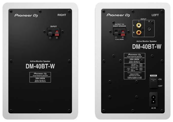 Полочная акустическая система Pioneer DJ DM-40BT фотография 5