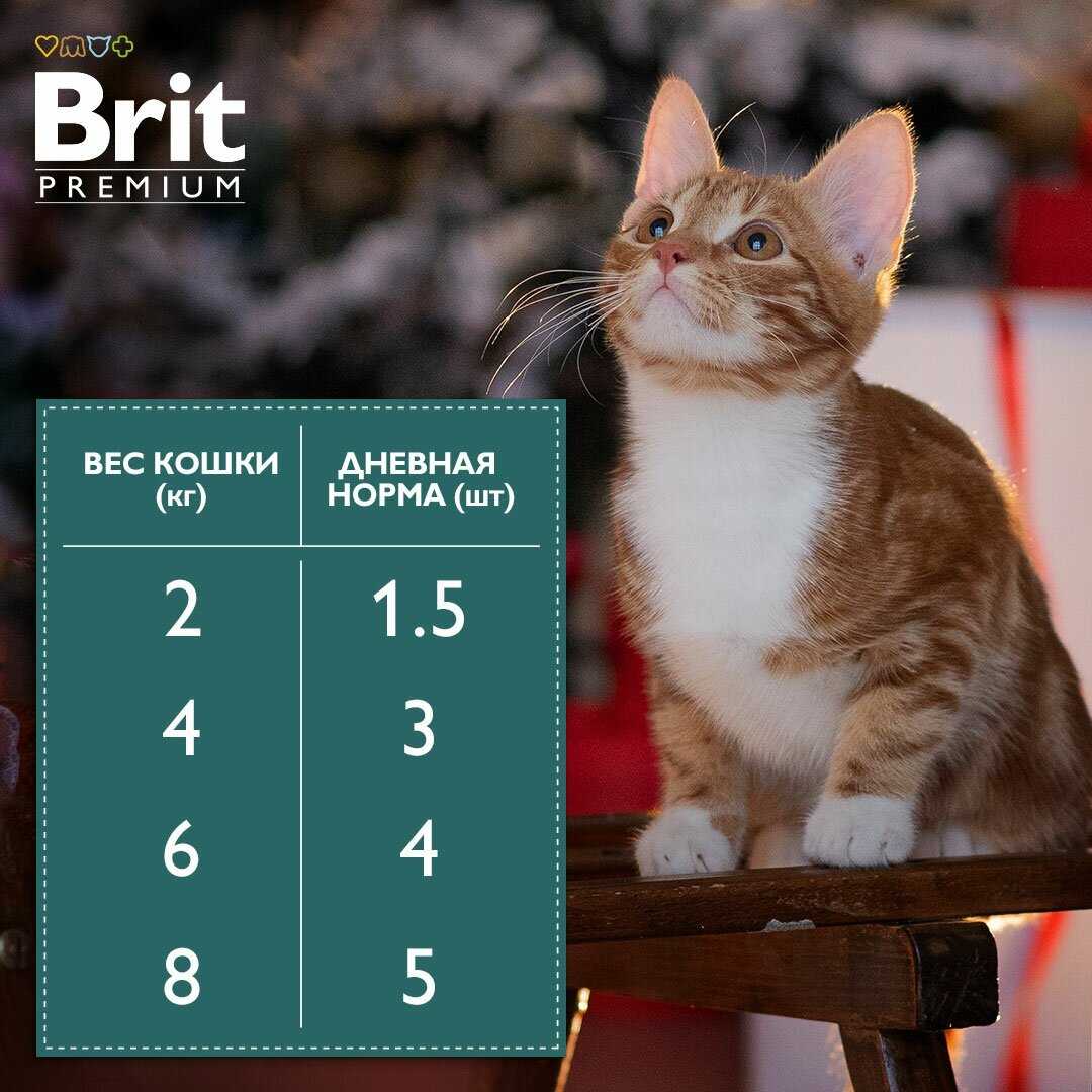 Влажный корм для кошек Brit Premium Утка фотография 3