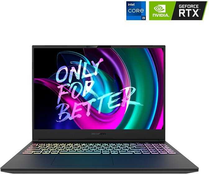 Игровой ноутбук Maibenben X639 (i9-13900HX/RTX 4080 12ГБ/16ГБ+512ГБ PCIe/16.0″ QHD 240Hz)