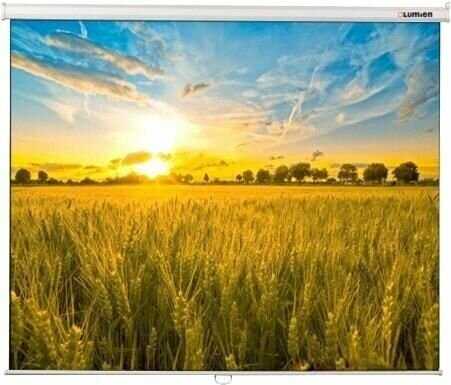 Рулонный Lumien Eco Picture (LEP-100124) фотография 4