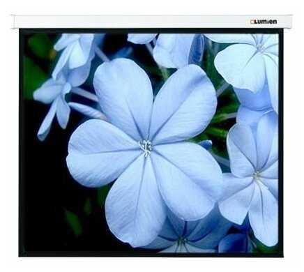 Рулонный Lumien Master Picture (LMP-100103)