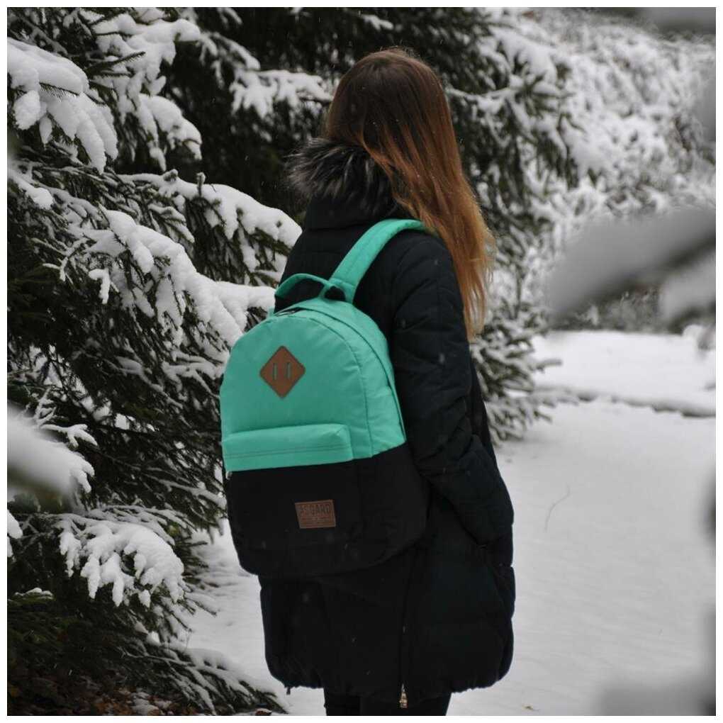 Рюкзак Asgard Р-5333Д СинийП - Пончики голубой фотография 1