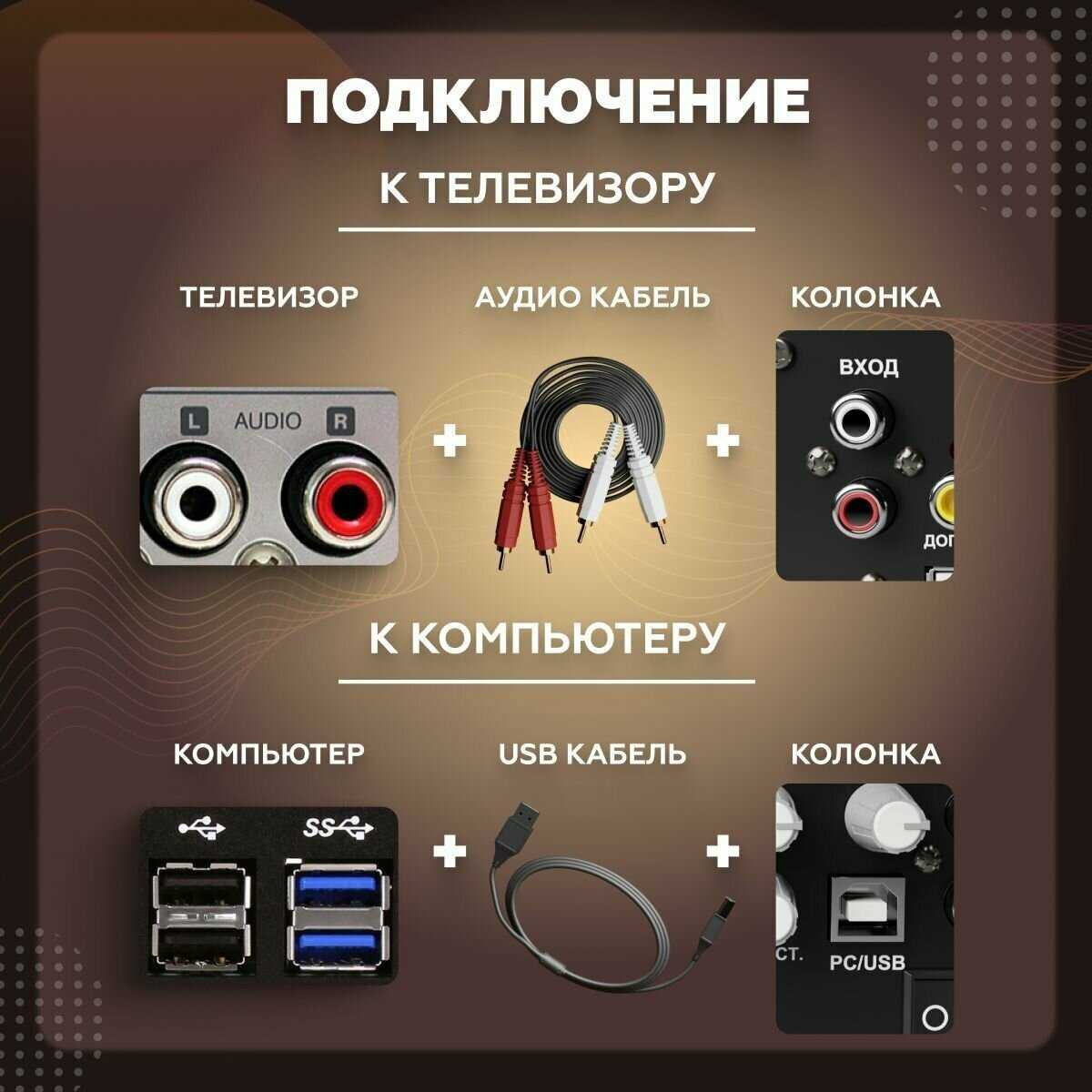 Караоке система для дома/телевизора с двумя беспроводными микрофонами, портативной блютуз колонкой фотография 7