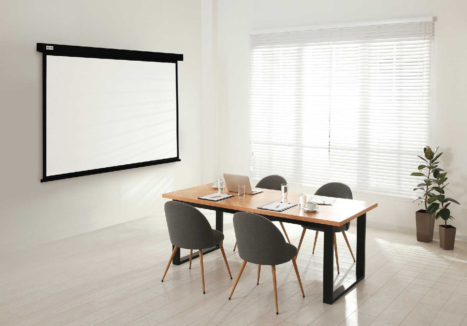 Рулонный cactus Wallscreen (CS-PSW-127X127) фотография 2