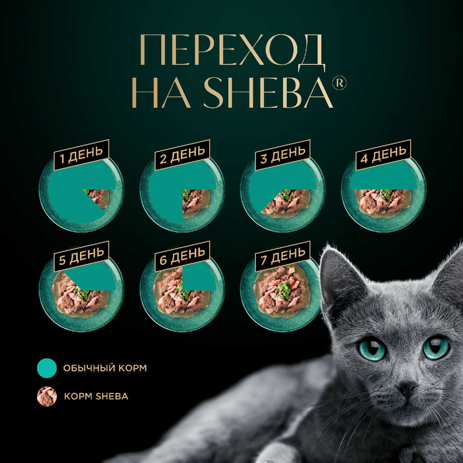 Корм для кошек Sheba Нежный паштет в желе с лососем фотография 15