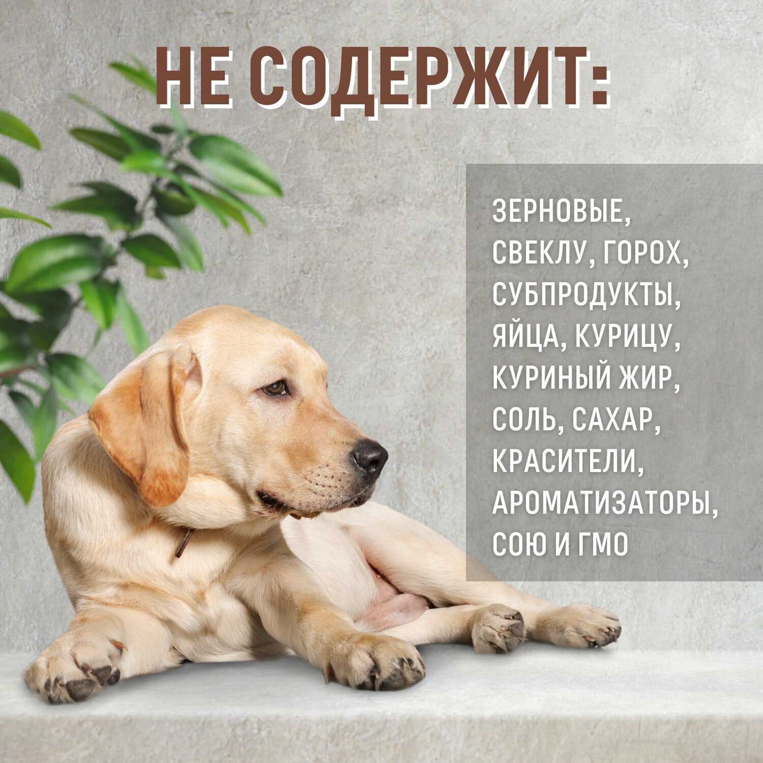 Корм для собак Grandorf беззерновой (утка с индейкой) фотография 16