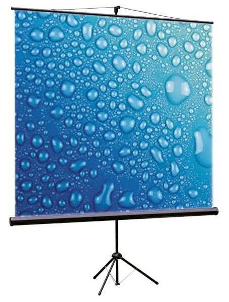 Рулонный ViewScreen Clamp (TCL-1101)