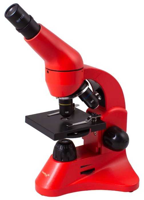 Микроскоп LEVENHUK Rainbow 50L фотография 37