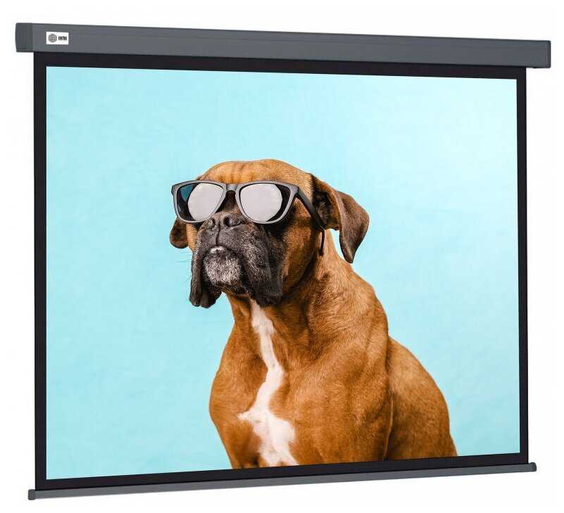 Рулонный cactus Wallscreen (CS-PSW-187X332-SG) фотография 1