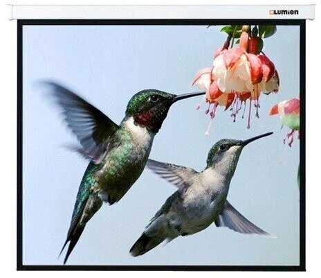 Рулонный Lumien Eco Picture (LEP-100103) фотография 9