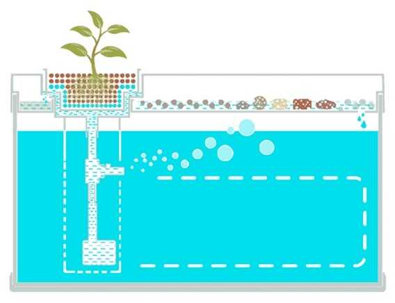 10 л Xiaomi Geometry Fish Tank Aquaponics Ecosystem (HF-JHYG001) фотография 15