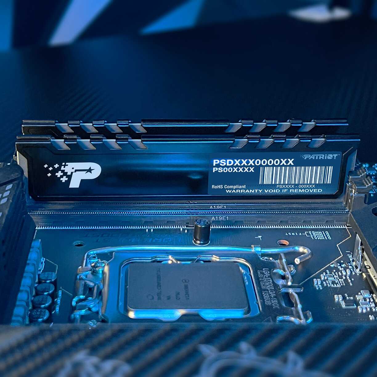 Оперативная память Patriot DDR-5 DIMM 32Gb (2x16Gb) (PSP532G4800KH1)