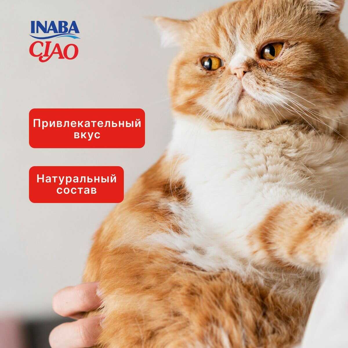 Корм для кошек Inaba Тунец магуро и тунец кацуо с куриным филе в желе фотография 19