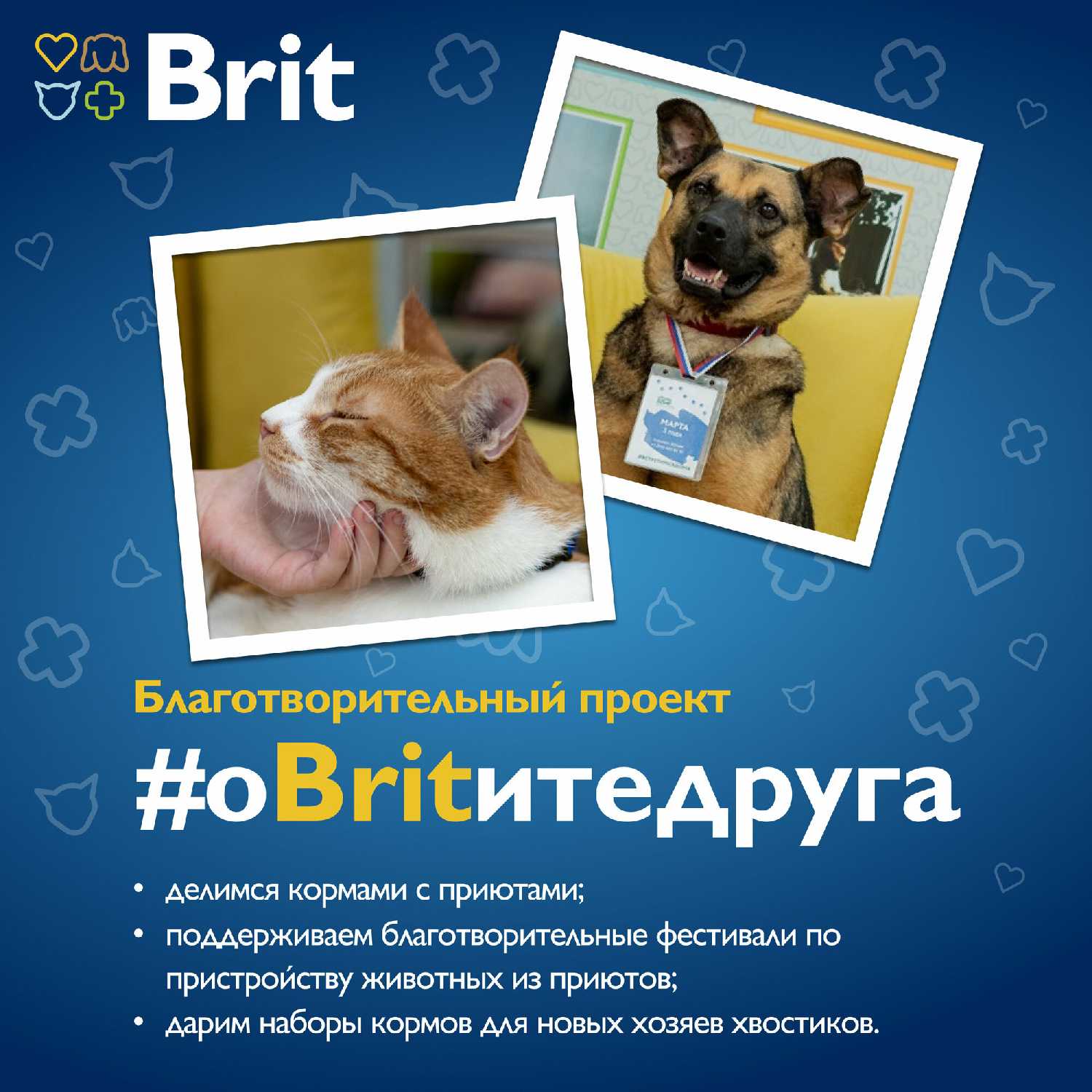 Корм для щенков и молодых собак Brit Premium (курица) фотография 16