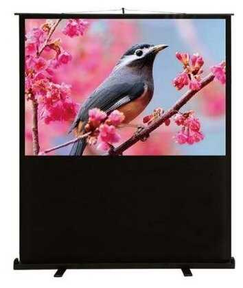 Экран Cactus 90x120см FloorExpert CS-PSFLE-120X90 4:3 напольный рулонный фотография 2