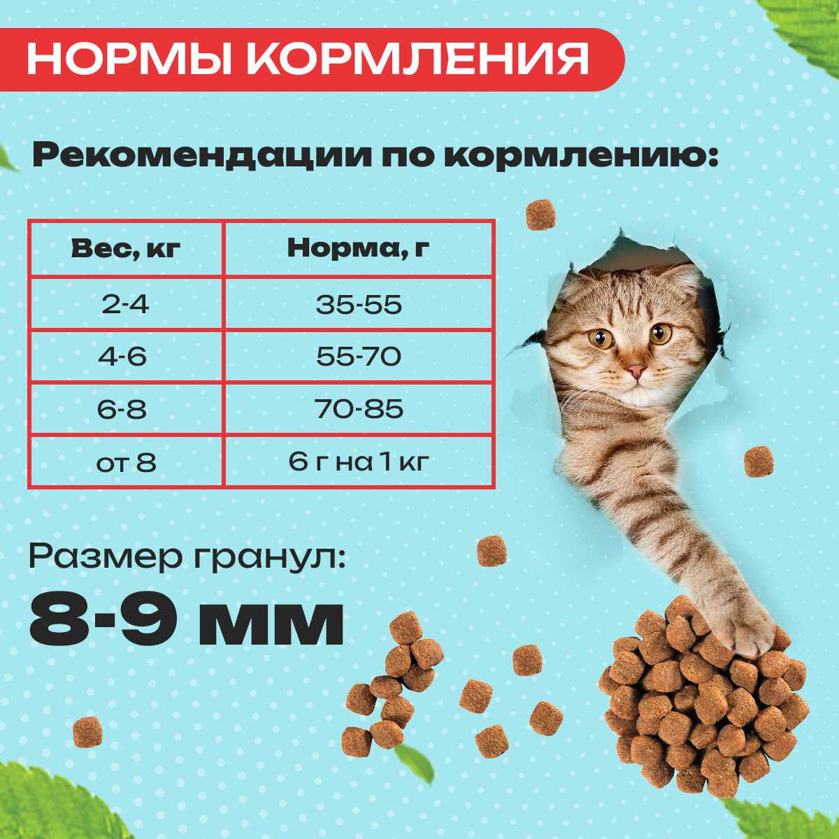 Сухой корм для кошек Сухой корм с ягненком и грушей фотография 8