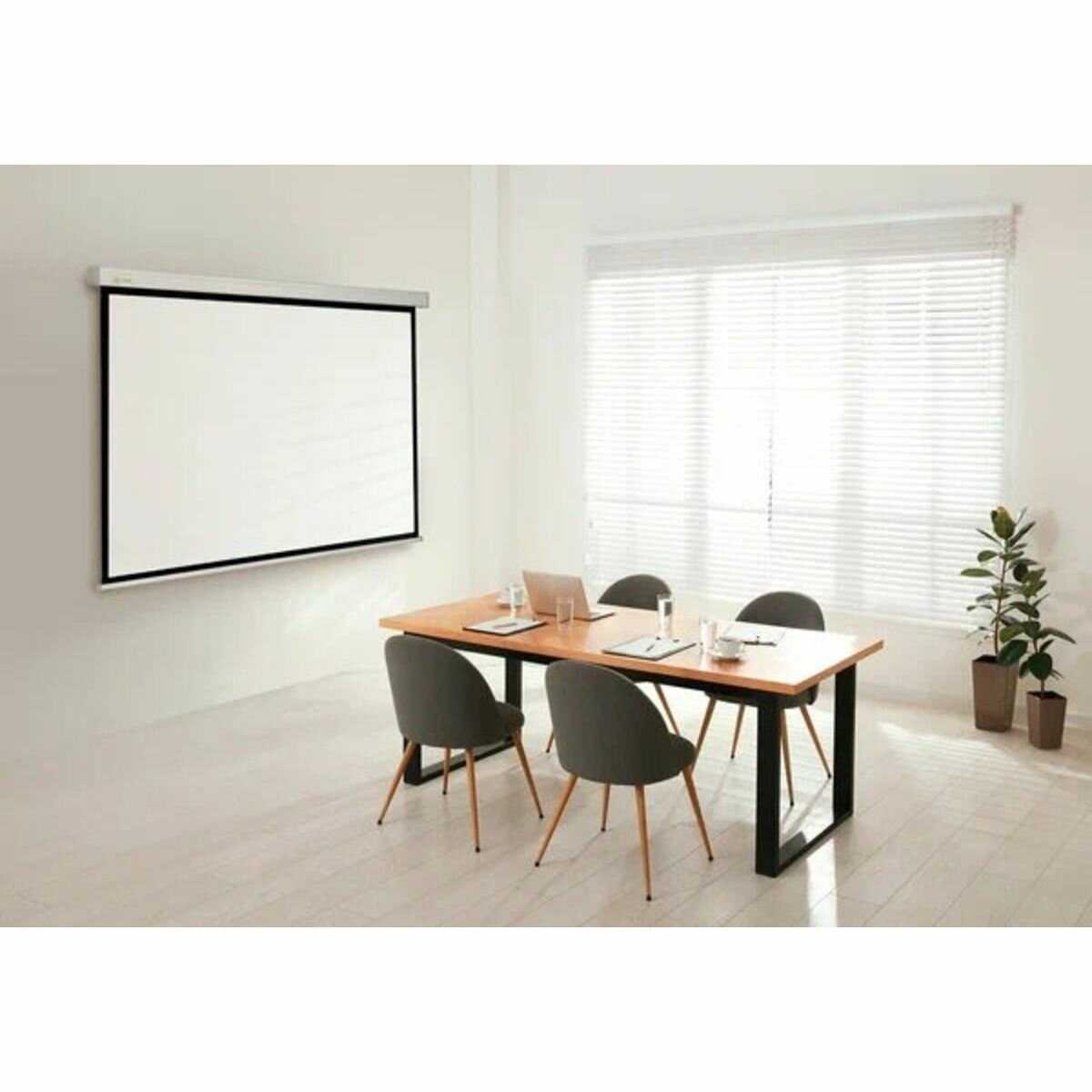 Рулонный cactus Wallscreen (CS-PSW-168X299-SG) фотография 8