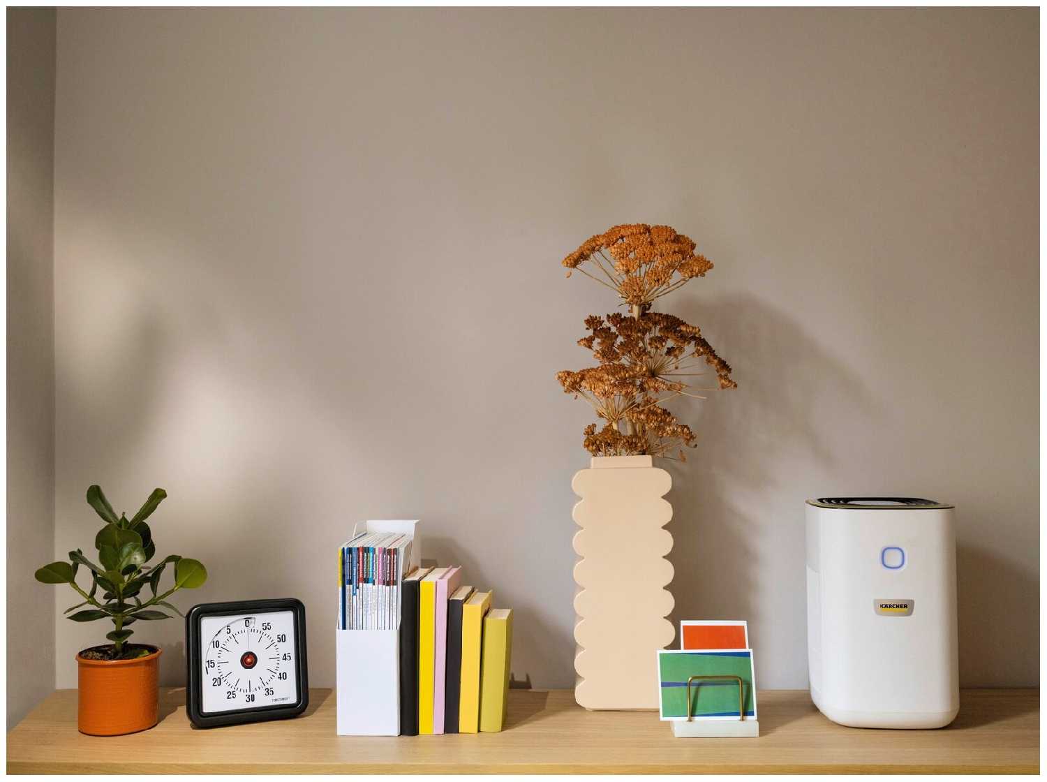 Очиститель воздуха KARCHER AF 20 фотография 8
