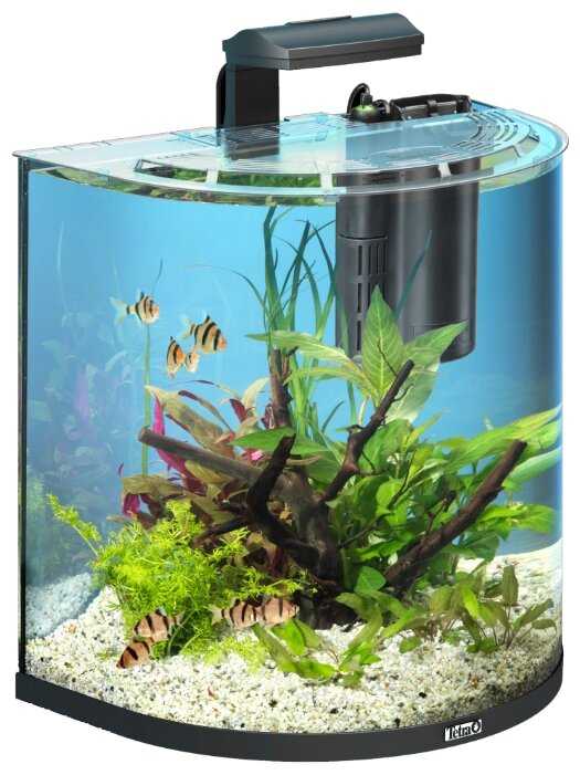 60 л Tetra AquaArt LED Explorer Line Tropical фотография 1