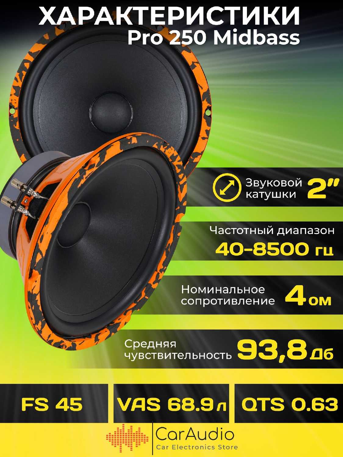 Колонки автомобильные DL Audio Gryphon PRO 250 (10 дюймов) фотография 1