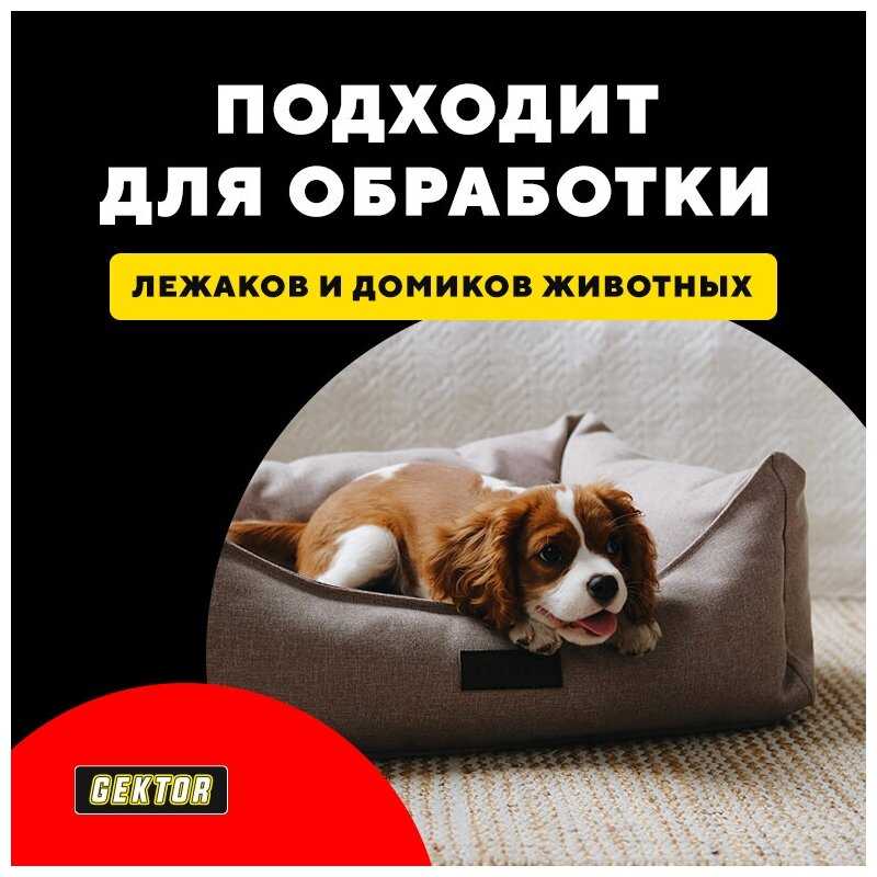 Средство от блох в доме гектор порошок без запаха, 100 гр фотография 3