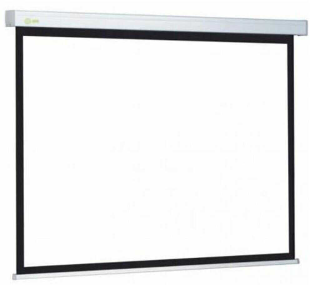 Рулонный cactus Motoscreen (CS-PSM-152x203) фотография 8