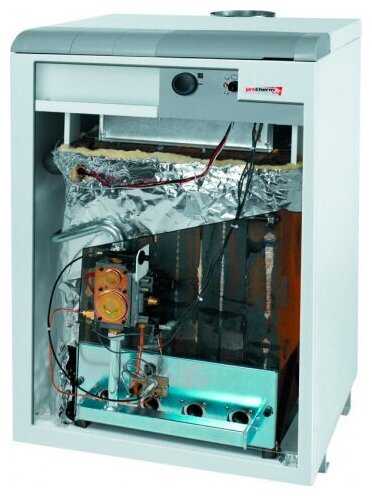 Конвекционный газовый котел Protherm Медведь 30 TLO фотография 6