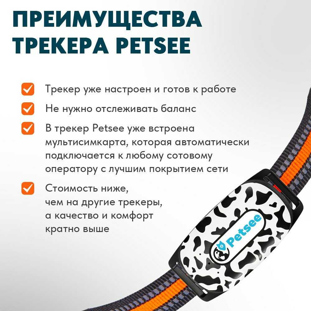 GPS трекер Petsee Petsee 4G Dogs фотография 27
