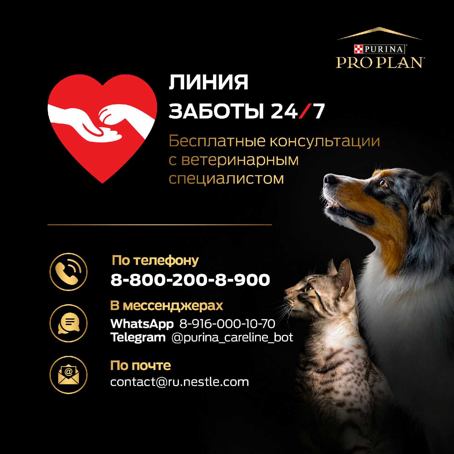 Корм для кошек Pro Plan Nature Elements с индейкой фотография 5