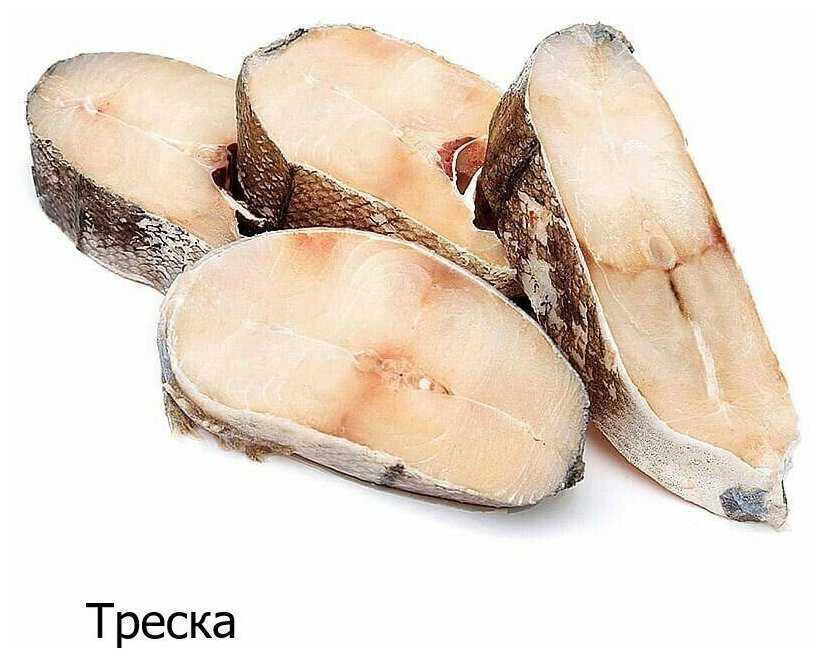 Корм для собак Farmina N&D Ocean (треска, со спельтой, с овсом, c апельсином) фотография 17