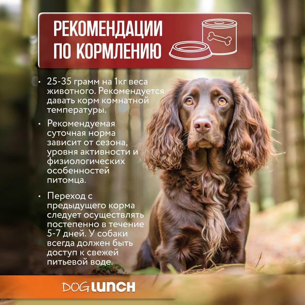 Корм для собак Dog Lunch мясное ассорти фотография 7