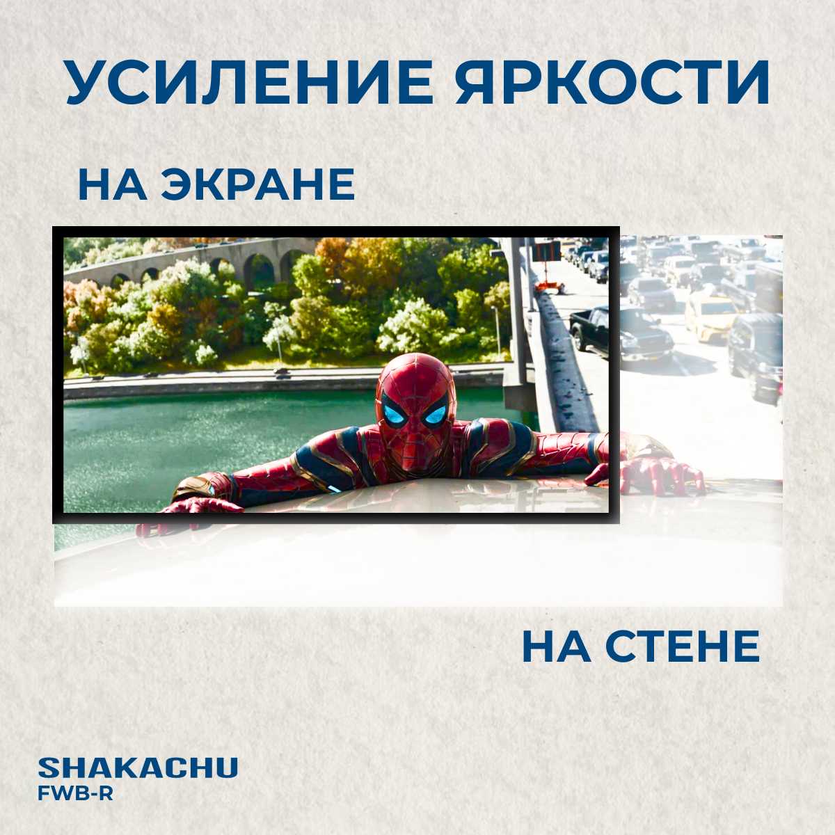 Складной экран для проектора Shakachu FWB100R (100