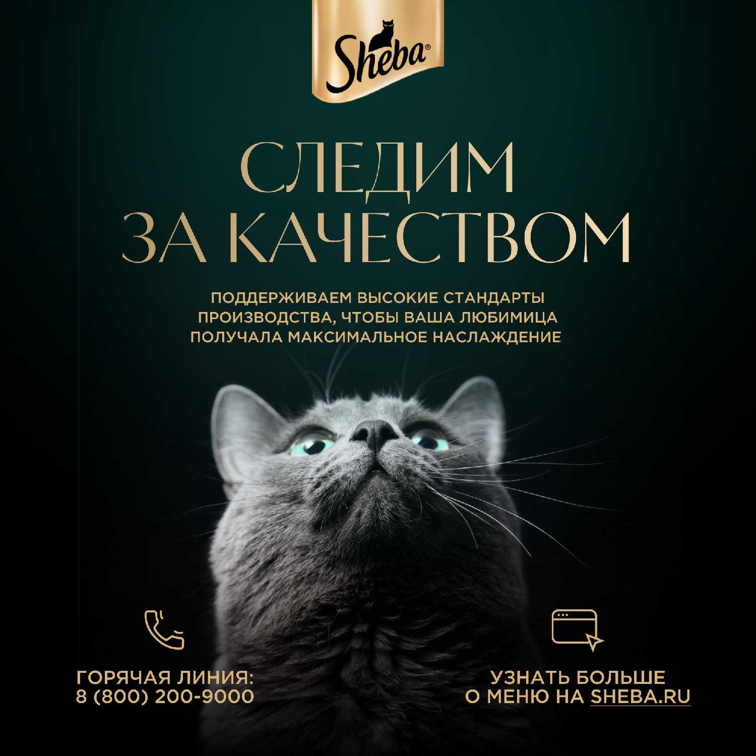 Корм для кошек Sheba Нежный паштет в желе с курицей (суфле) фотография 14