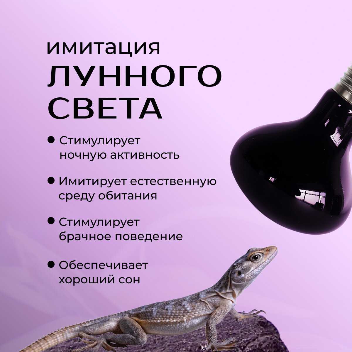 Лампочка ночная ультрафиолетовая (Е 27) фотография 2