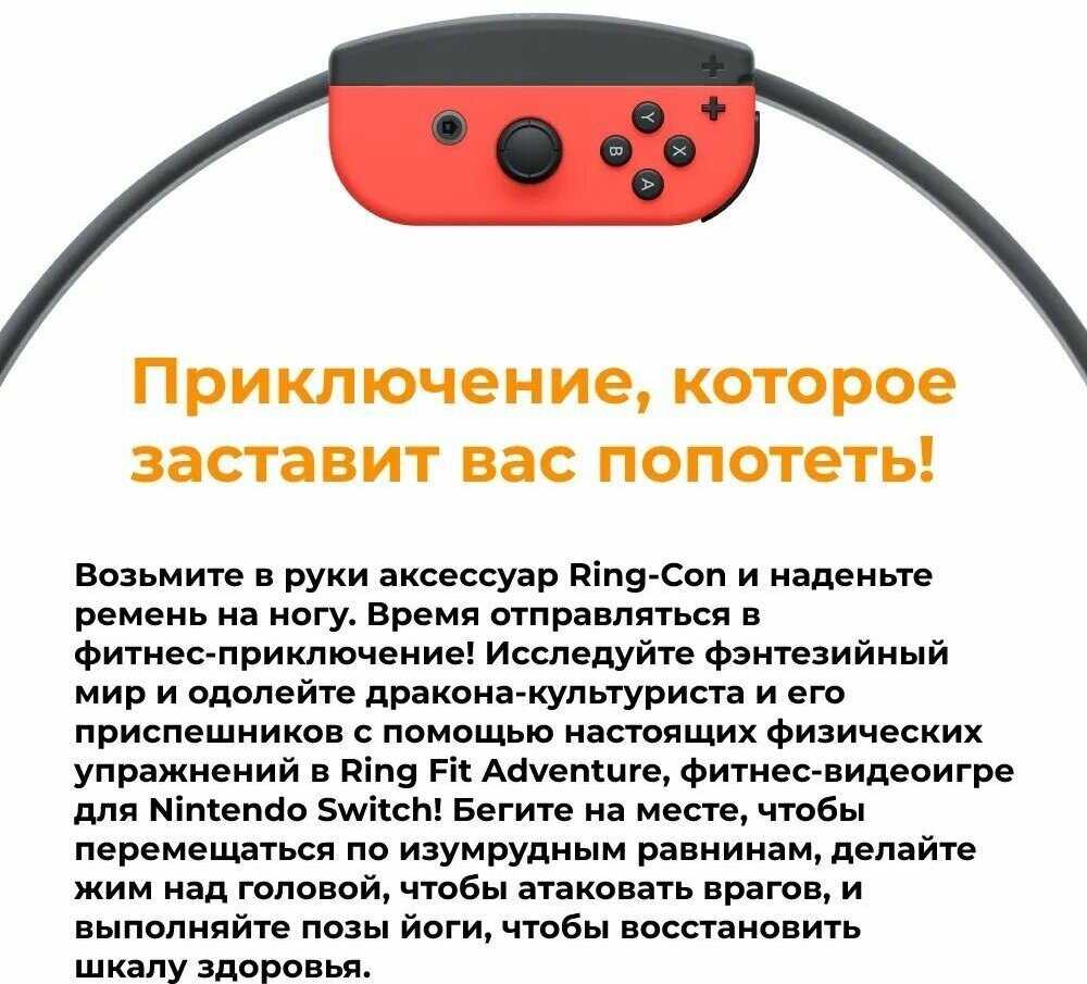Аксессуары Nintendo Ring-Con фотография 4