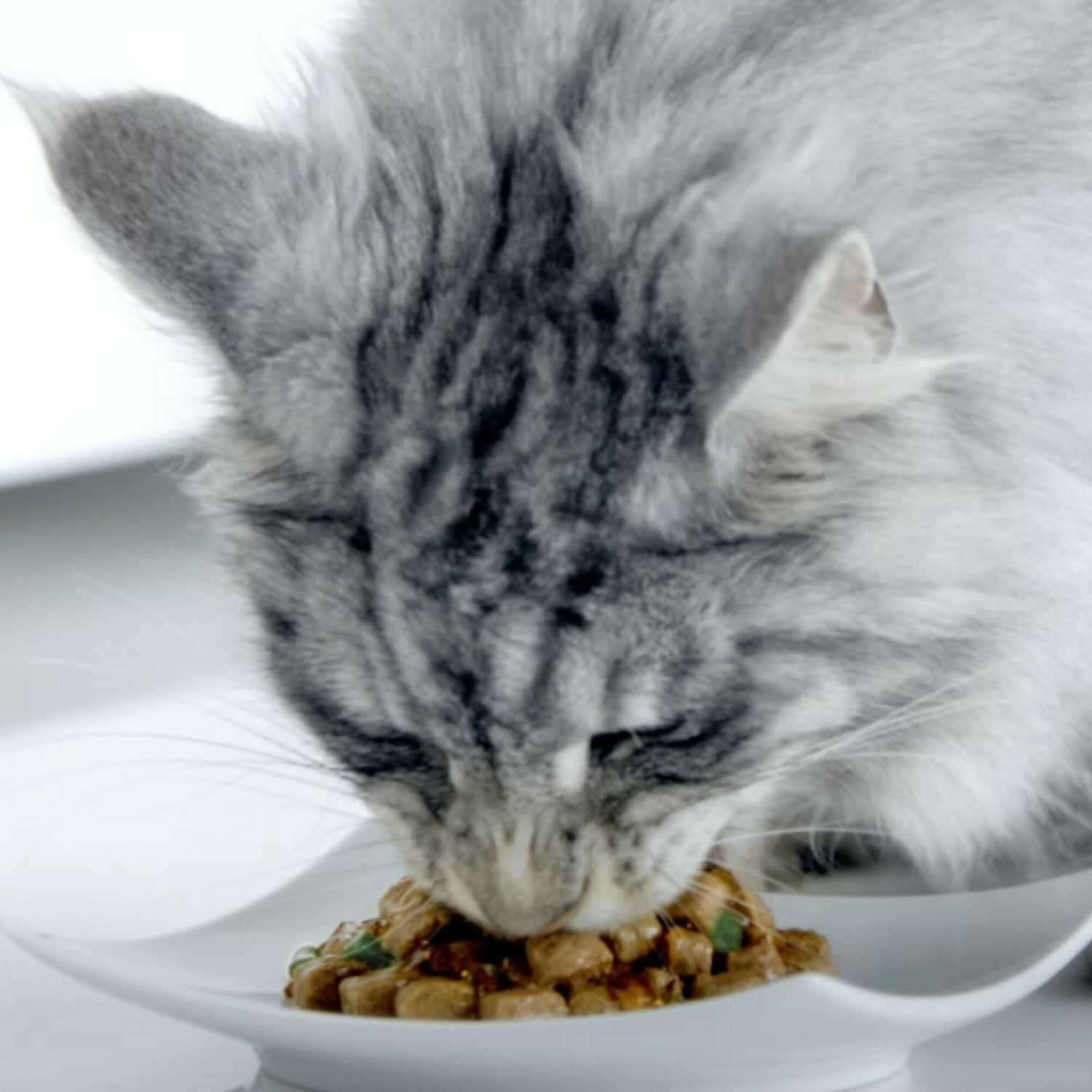 Корм Purina ONE с говядиной и морковью (кусочки в соусе) фотография 10