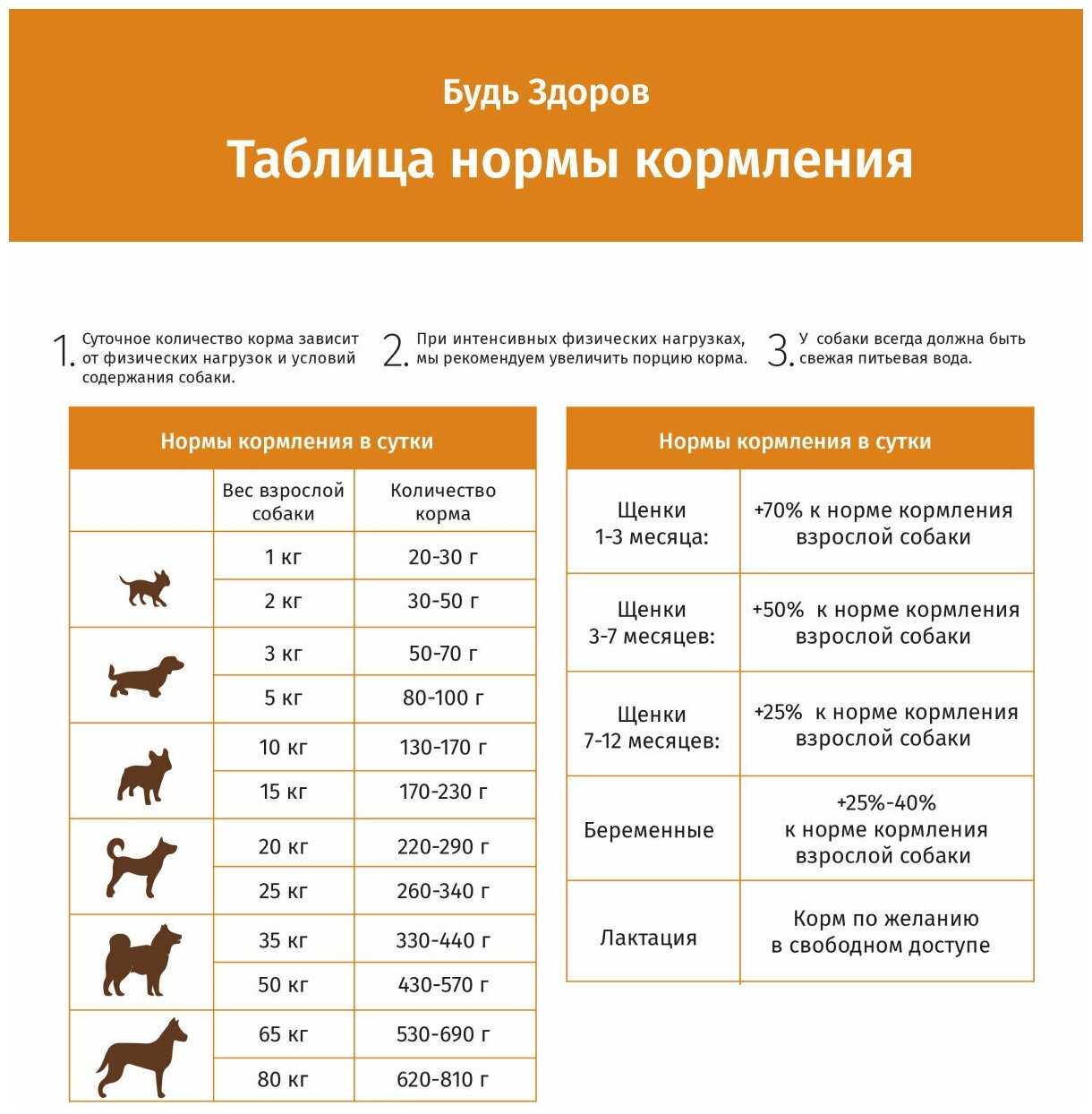 Корм для взрослых собак Живая сила Будь Здоров (с ягненком) фотография 2