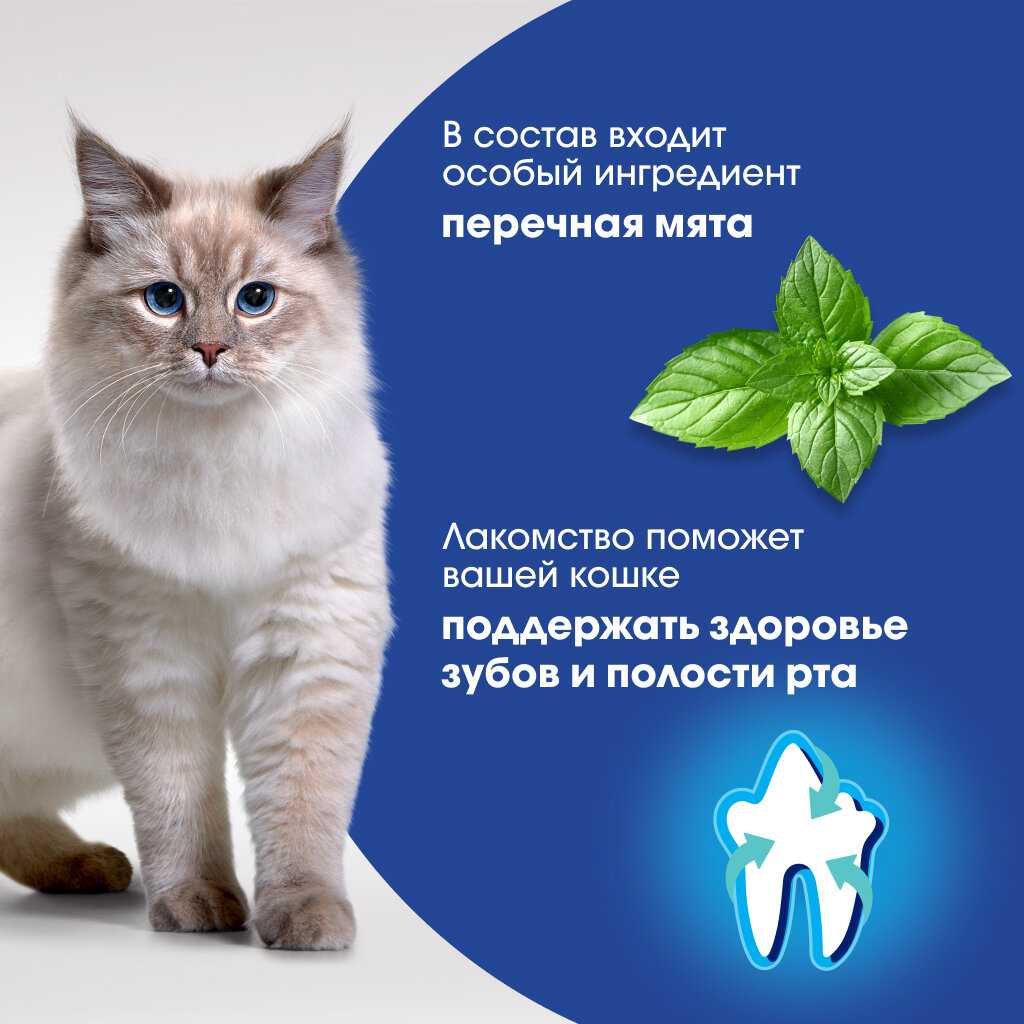 ORAL CARE лакомство для кошек (7шт в уп) фотография 6